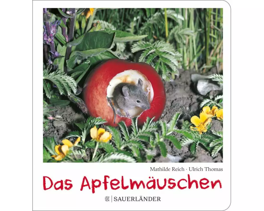 Das Apfelmäuschen (Pappbilderbuch)