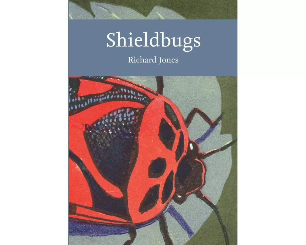 Shieldbugs