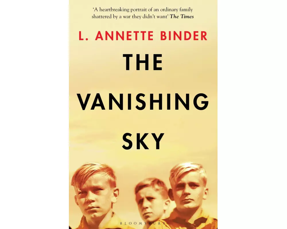 The Vanishing Sky