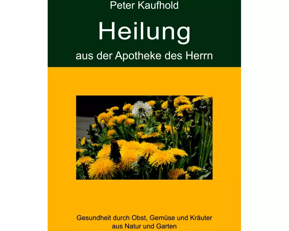 Heilung aus der Apotheke des Herrn - Band 2