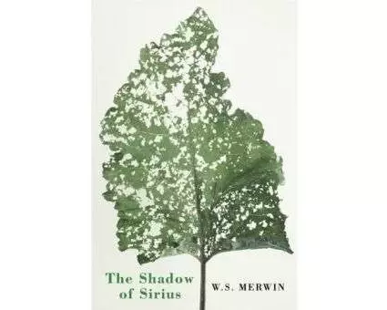 The Shadow of Sirius