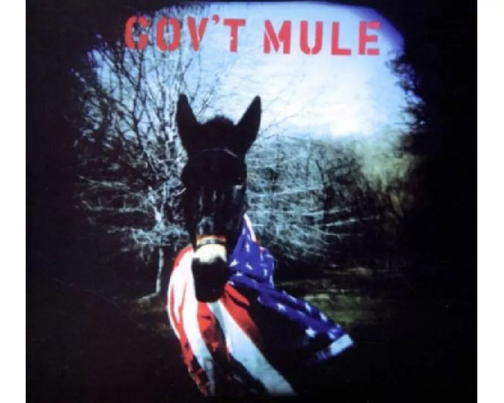 Gov't Mule