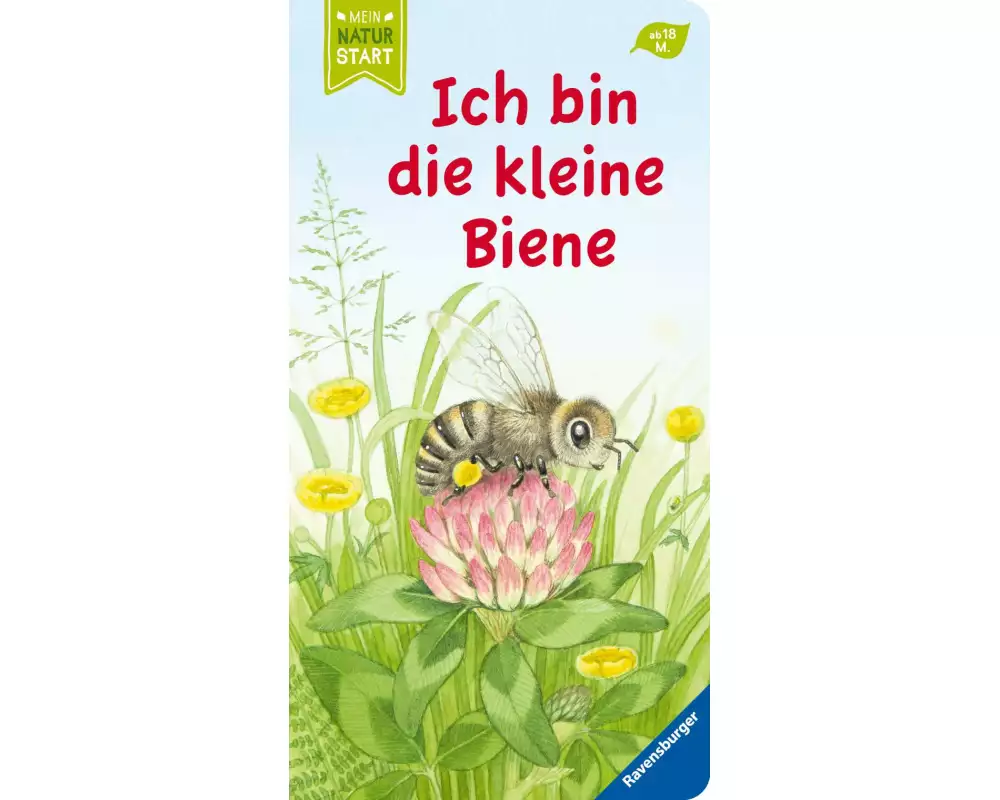 Ich bin die kleine Biene