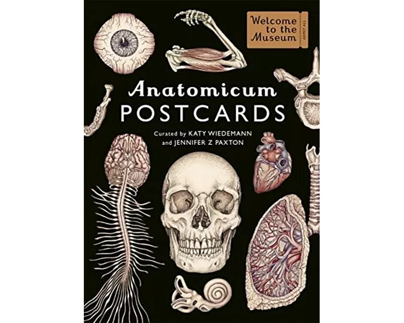 Anatomicum Postcard Box