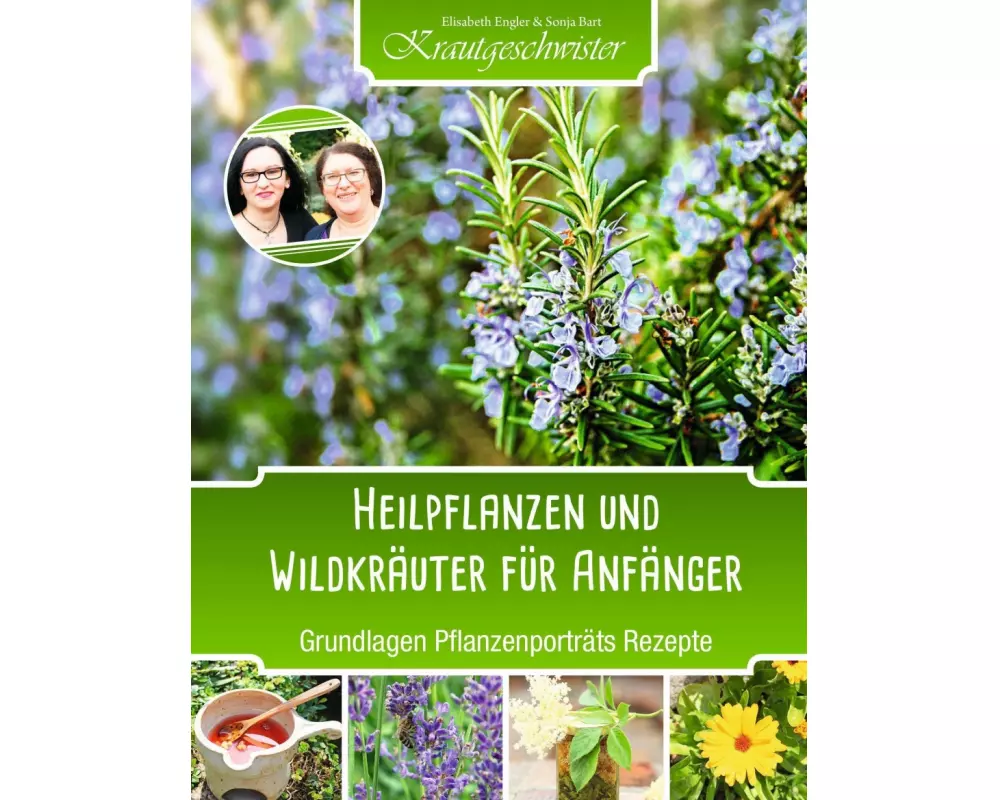 Heilpflanzen und Wildkräuter für Anfänger (Krautgeschwister)