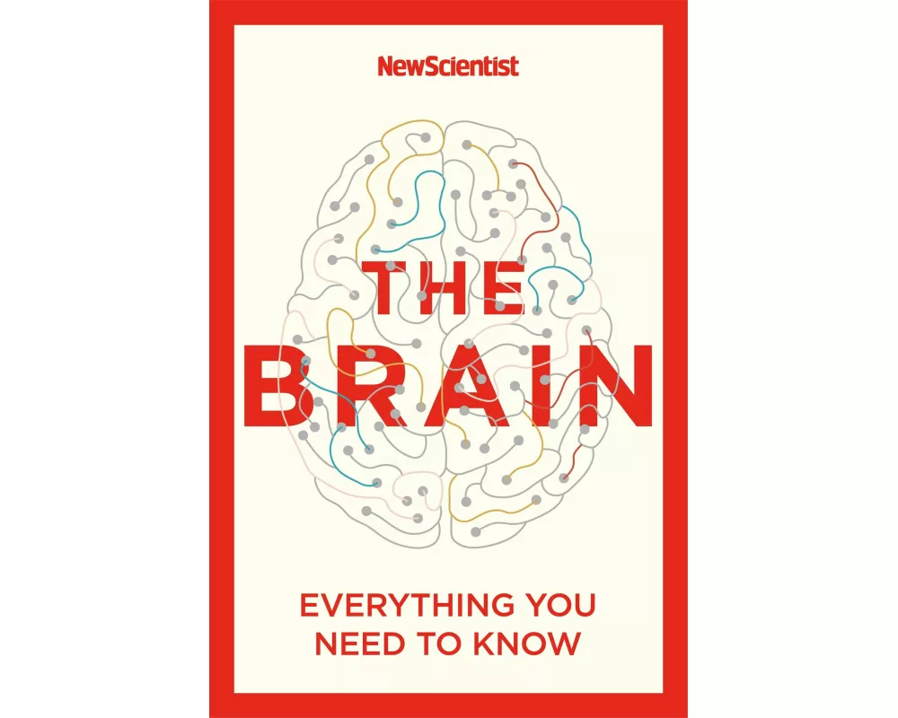 The Brain