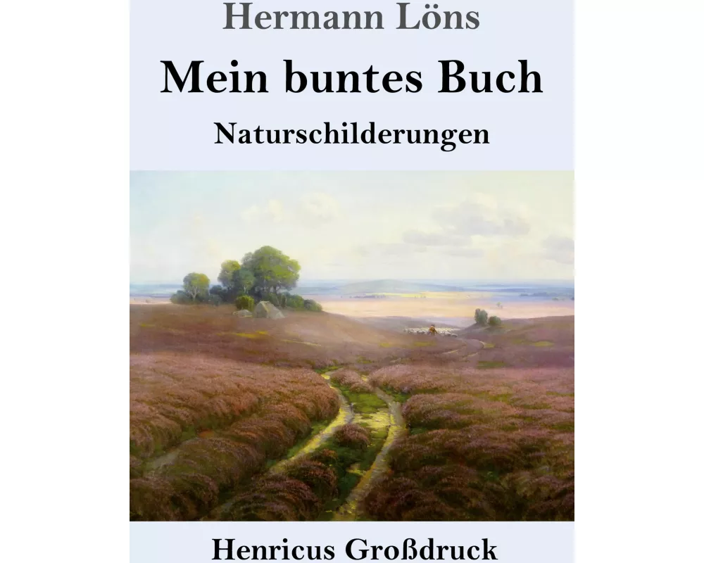 Mein buntes Buch (Großdruck)