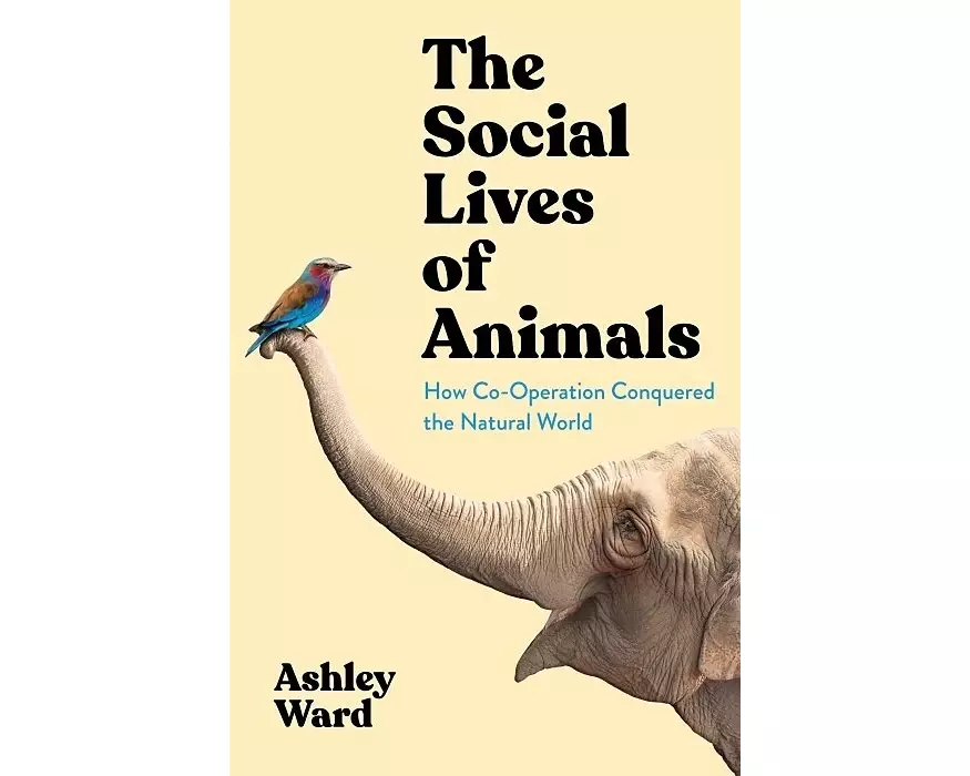 The Social Lives of Animals