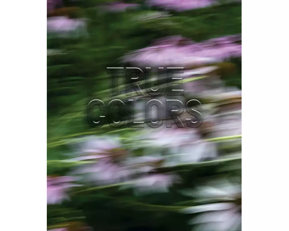 Zora J Murff: True Colors