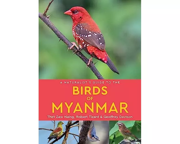 A Naturalist's Guide to the Birds of Myanmar