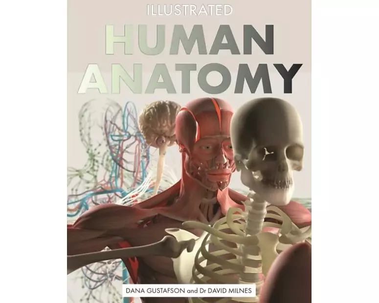 Illustrated Human Anatomy