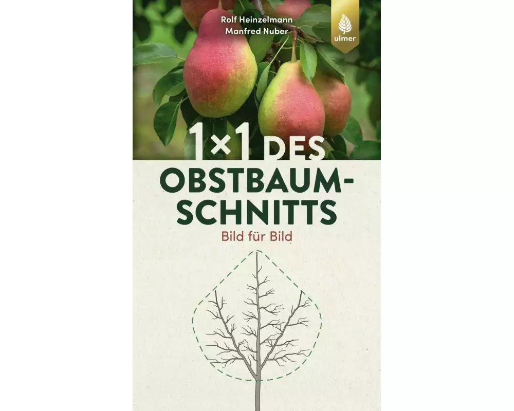 1 x 1 des Obstbaumschnitts