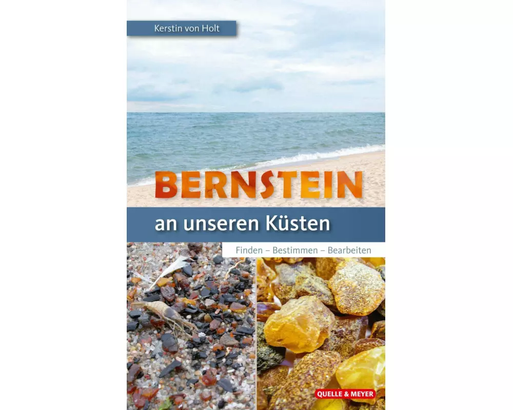 Bernstein an unseren Küsten