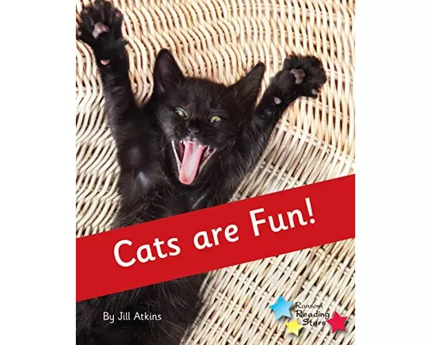 Cats are Fun!