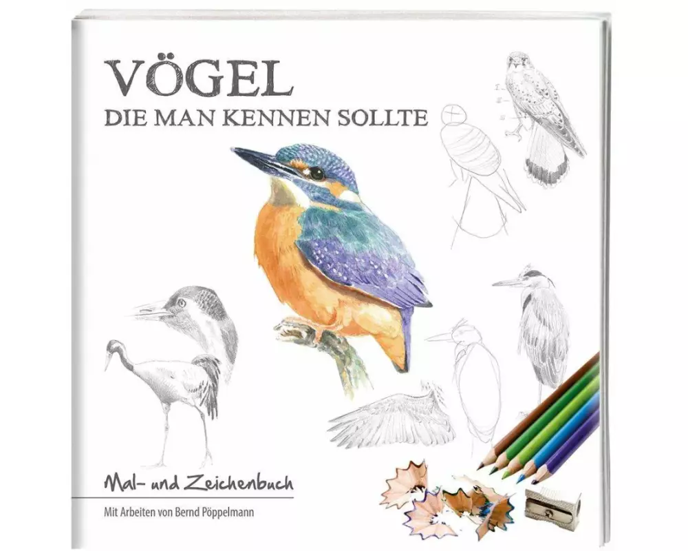 Vögel, die man kennen sollte