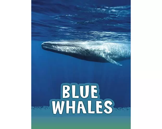 Blue Whales
