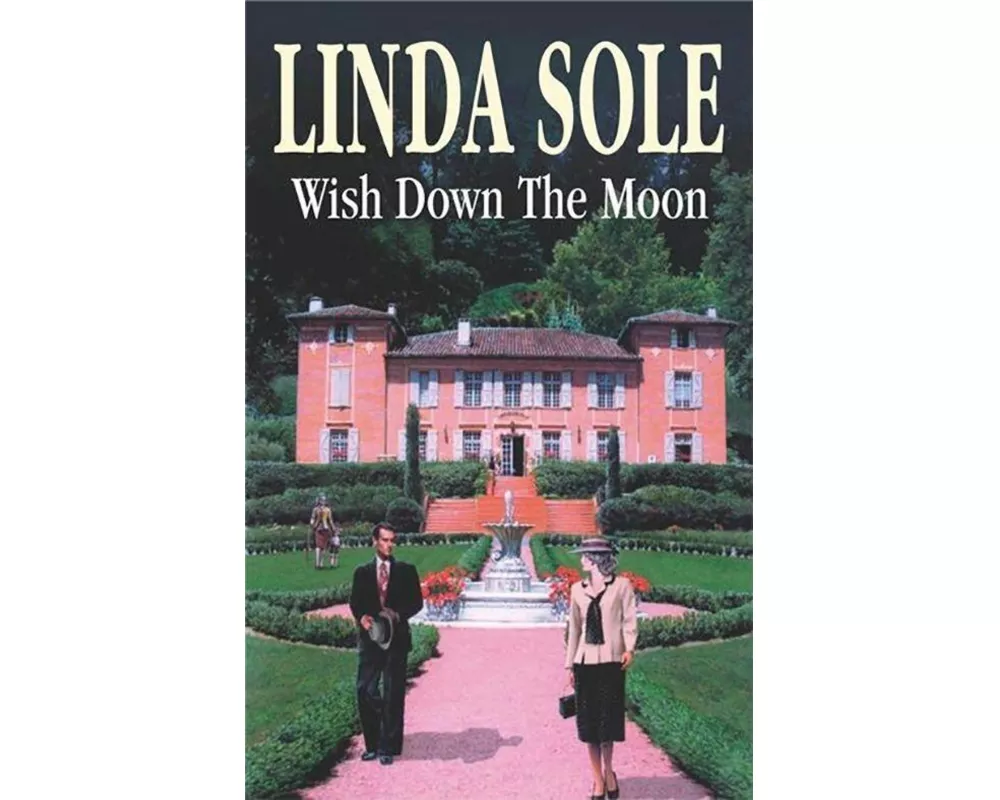 Wish Down the Moon