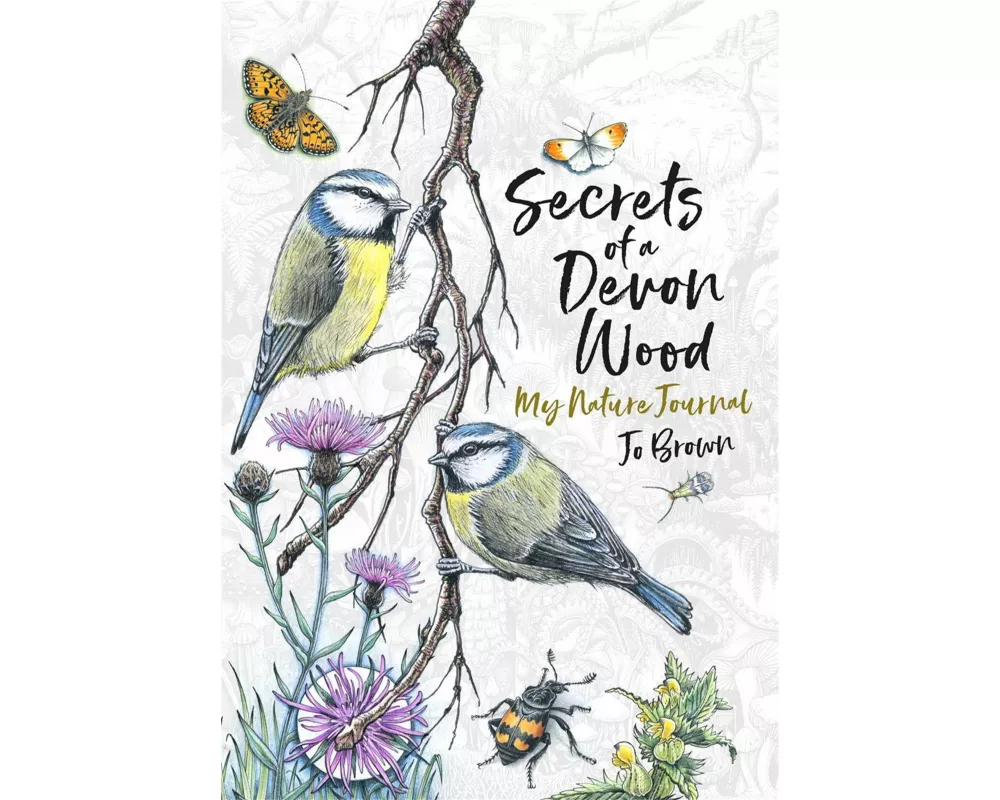 Secrets of a Devon Wood