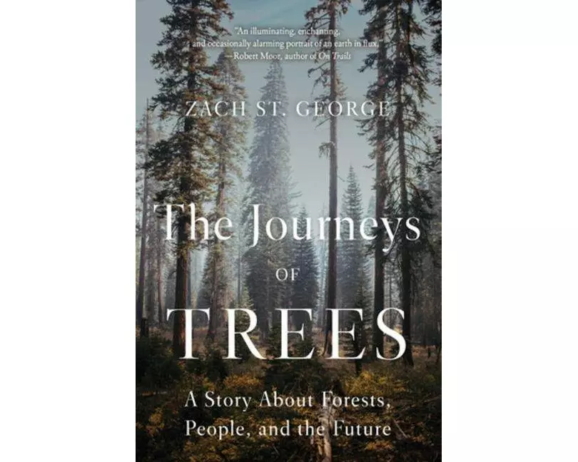 The Journeys of Trees