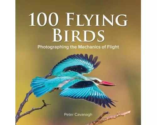 100 Flying Birds