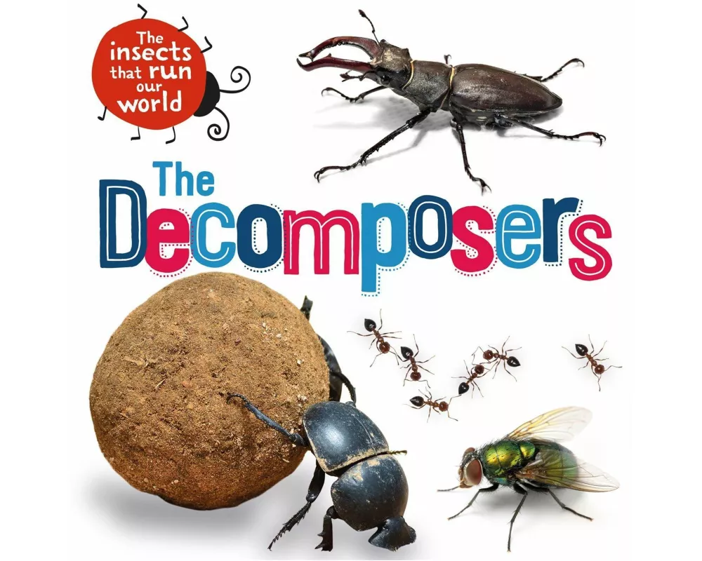 The Insects that Run Our World: The Decomposers