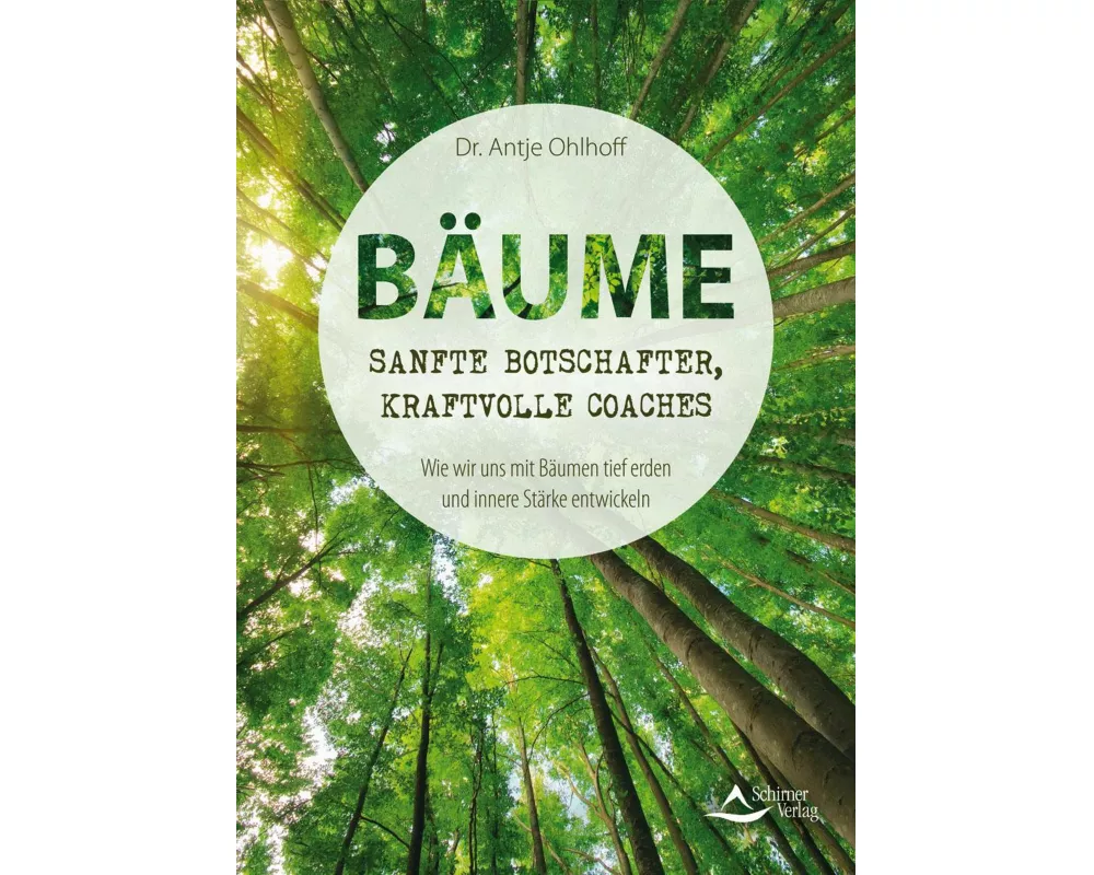 Bäume – sanfte Botschafter, kraftvolle Coaches