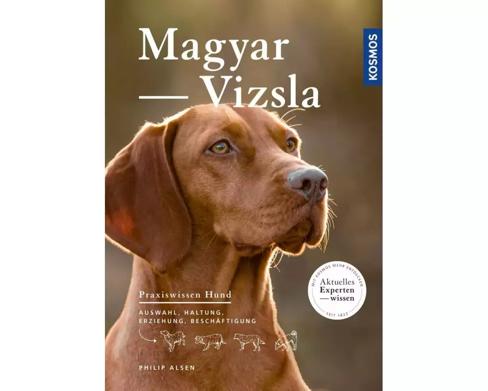 Magyar Vizsla