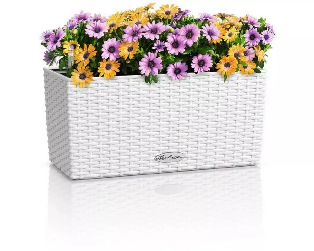 Lechuza BALCONERA Cottage 40 Weiss