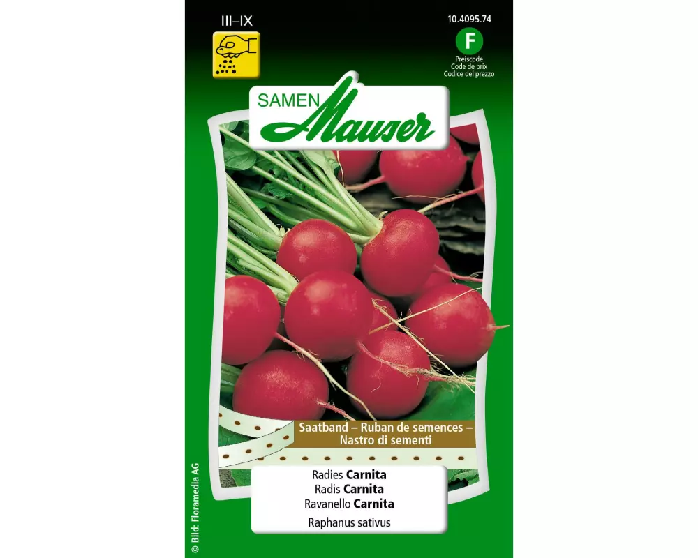 Samen Mauser Saatband Urban Gardening Radies Carnita