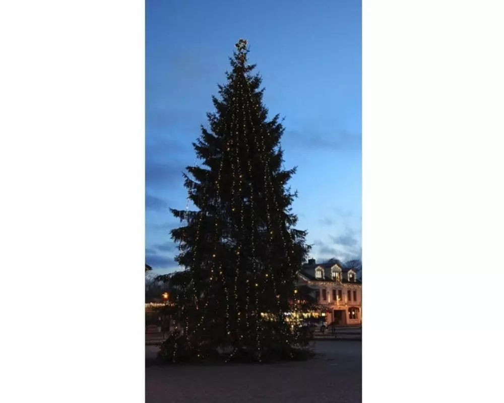 Star Trading System 24 Extra, Verteil-Ring mit 5 Schraubverbindungen