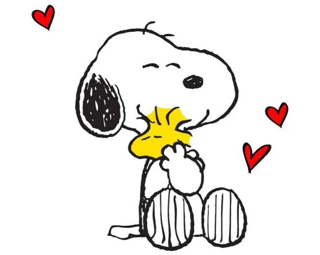 Braun + Company Snoopy Gross 20 Stück