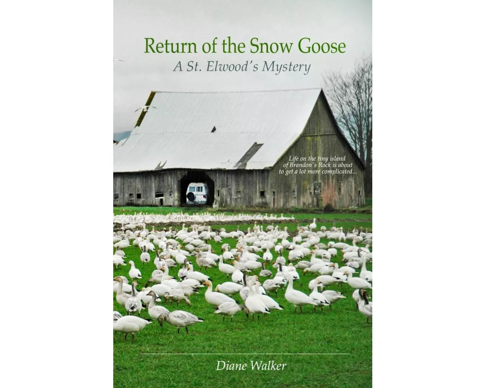 Return of the Snow Goose