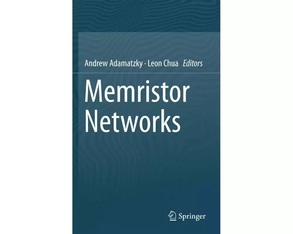 Memristor Networks