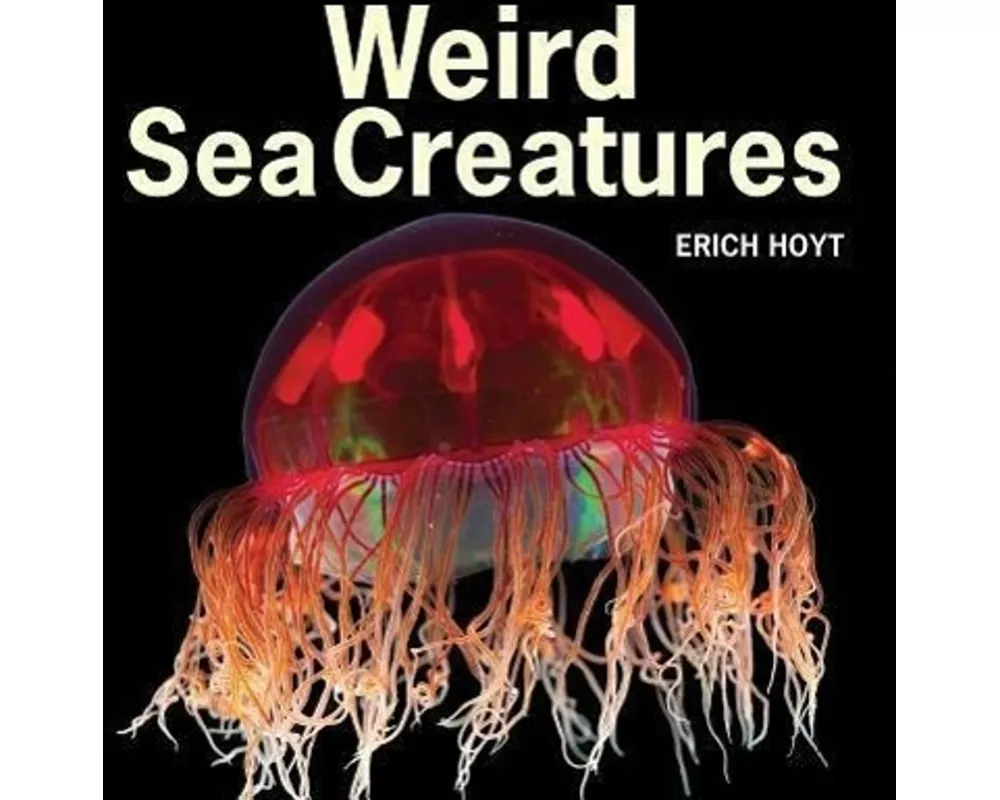 Weird Sea Creatures