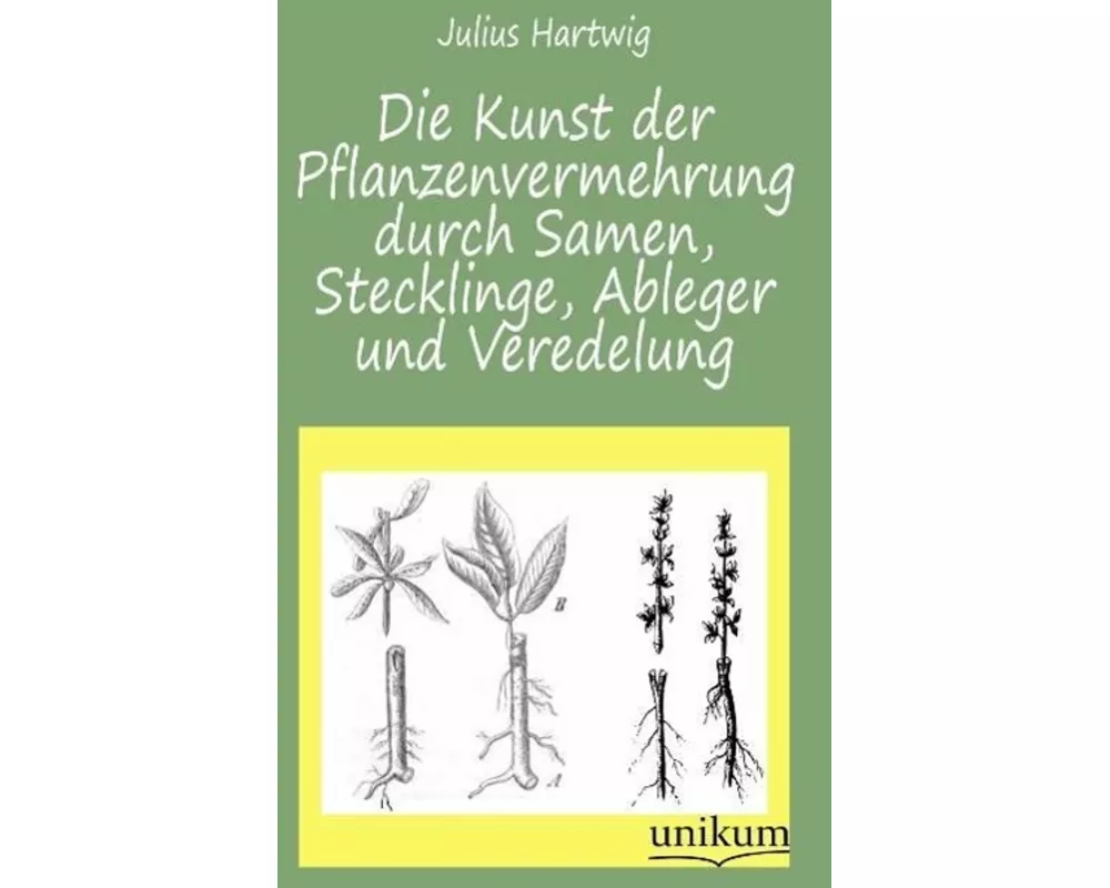 Die Kunst der Pflanzenvermehrung durch Samen, Stecklinge, Ableger und Veredelung