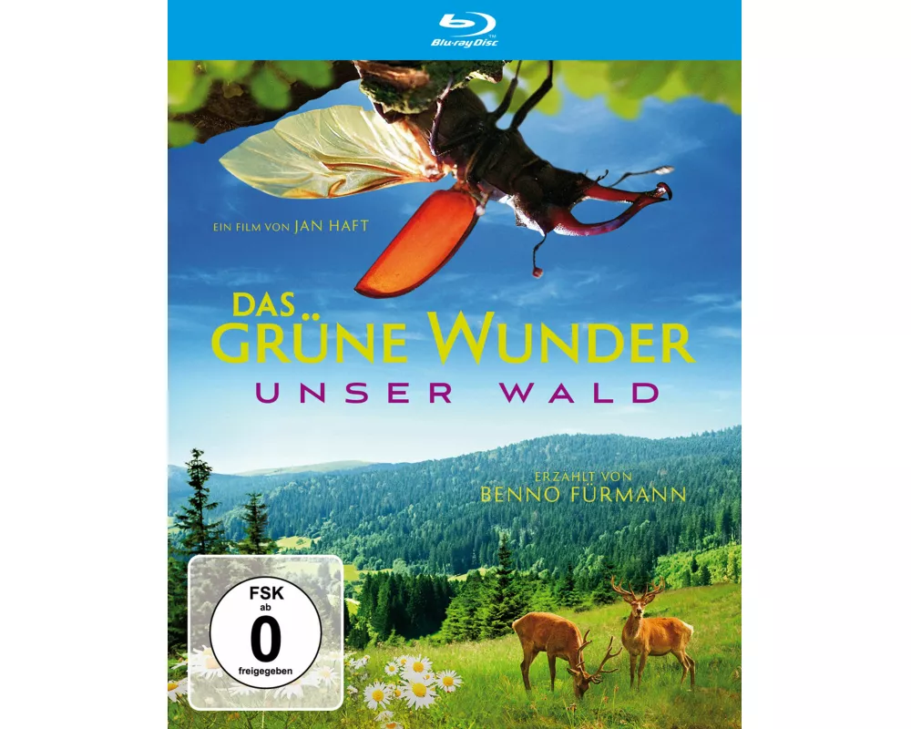 Das grüne Wunder - Unser Wald