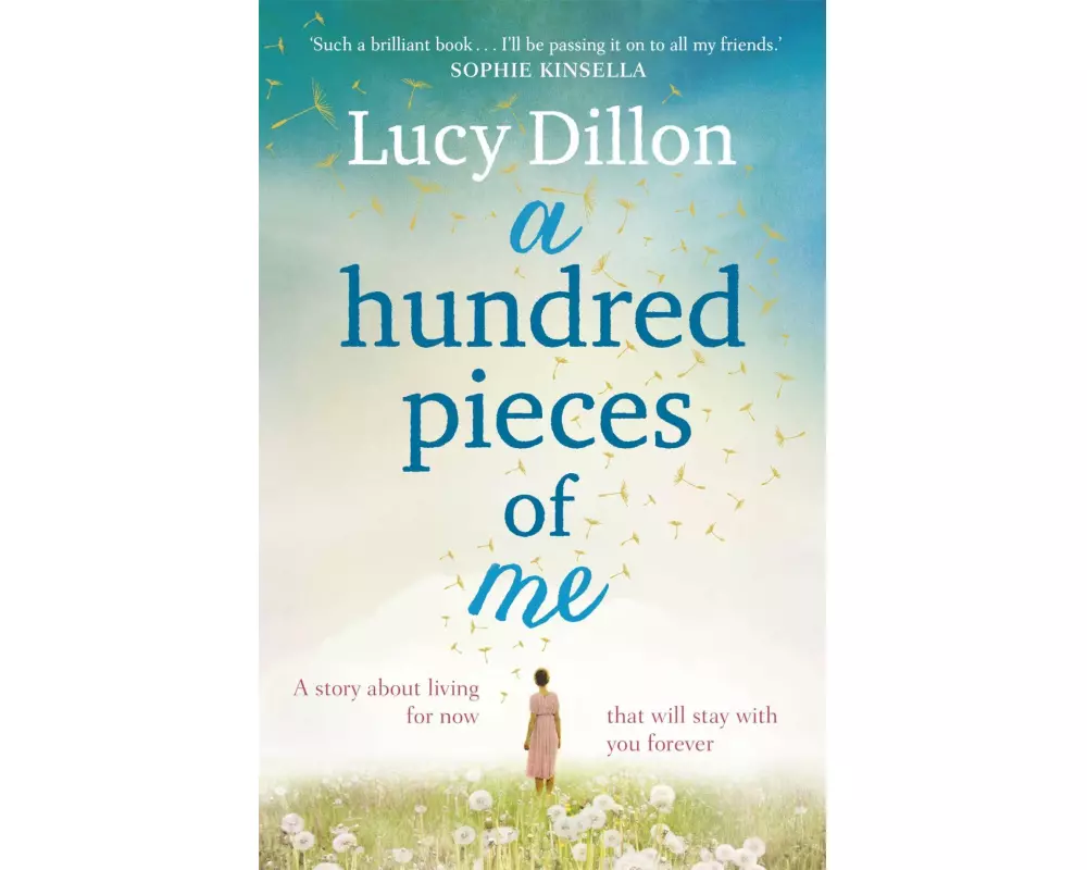 A Hundred Pieces of Me