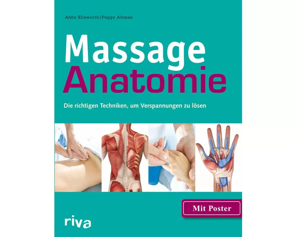 Massage-Anatomie