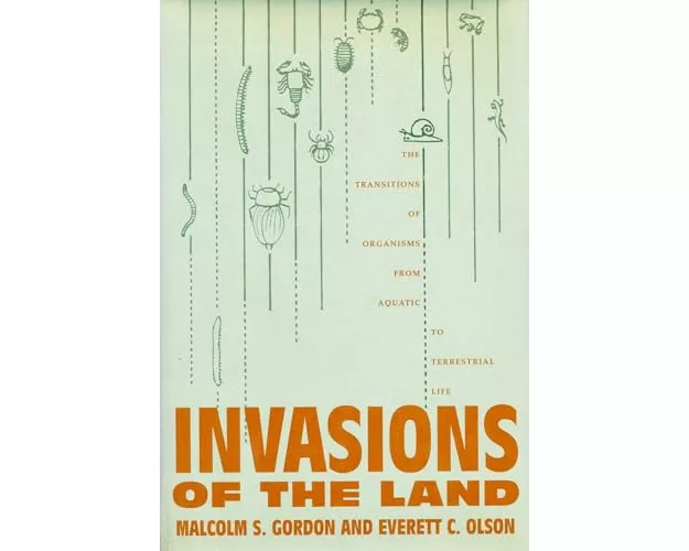 Invasions of the Land