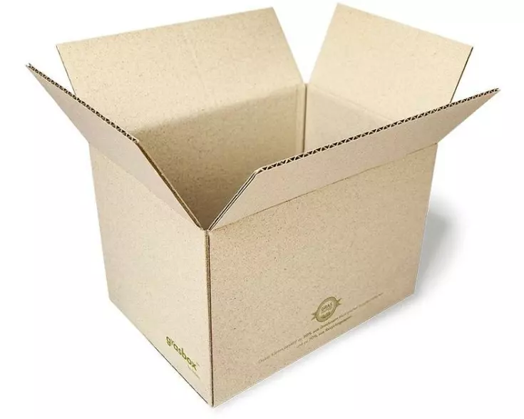 Antalis Versandkarton GrasBox 29 x 19 x 18.4 cm, 25 Stück