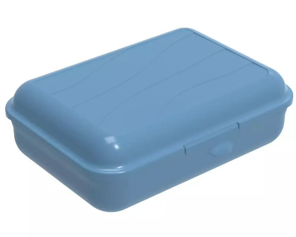 Rotho Lunchbox Fun 1250 ml, Blau