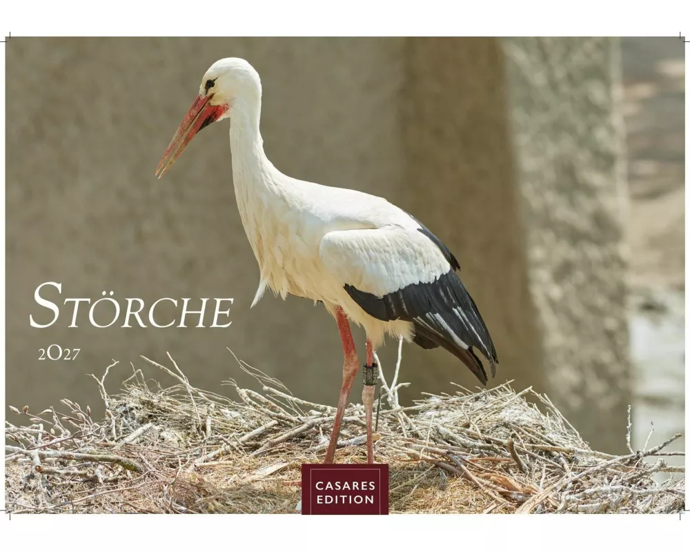 Störche Kalender 2027 - Wandkalender | Fotokalender Tierkalender 35x50cm Grosses Format - Inspirierende Storch-Motive für Natur- und Tierkalenderliebh
