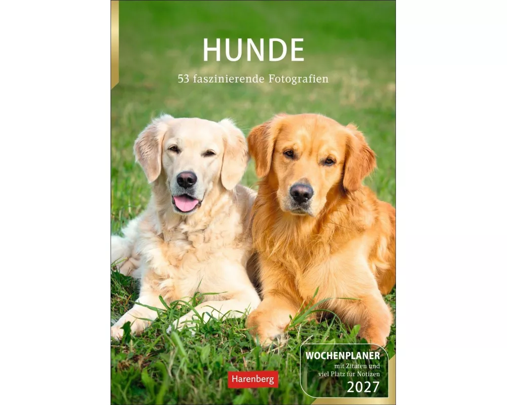 Hunde Wochenplaner 2027 - 53 faszinierende Fotografien