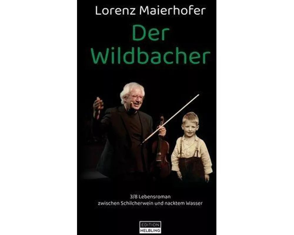 Der Wildbacher (Roman)