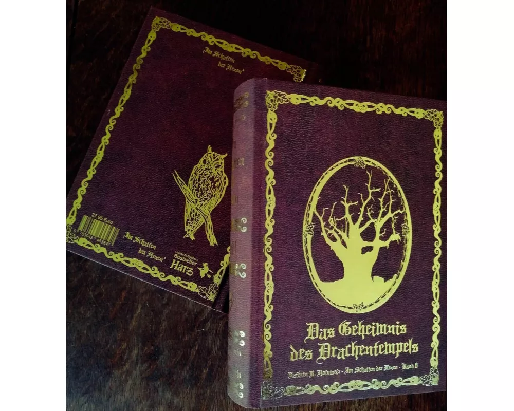 Im Schatten der Hexen VIII