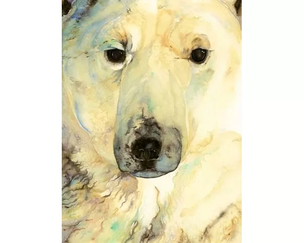 Ice Bear, The - Artist Edition