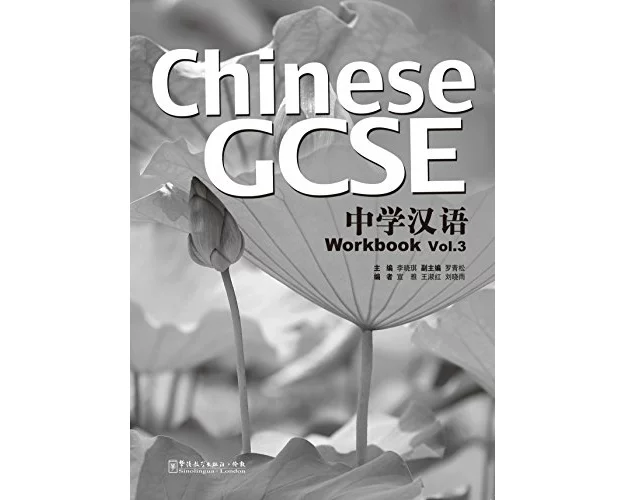 Chinese GCSE Workbook Vol.3