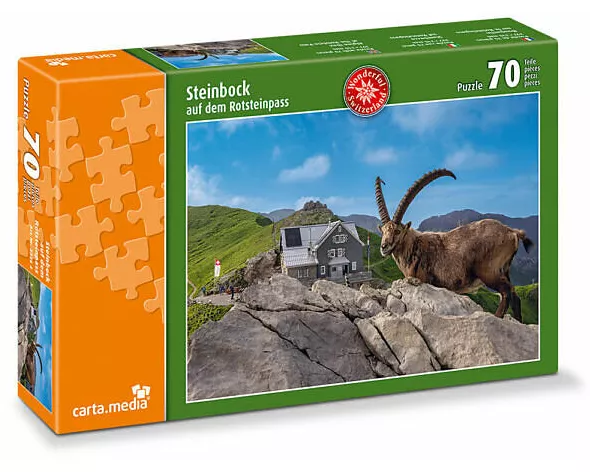 Steinbock auf dem Rotstseinpass