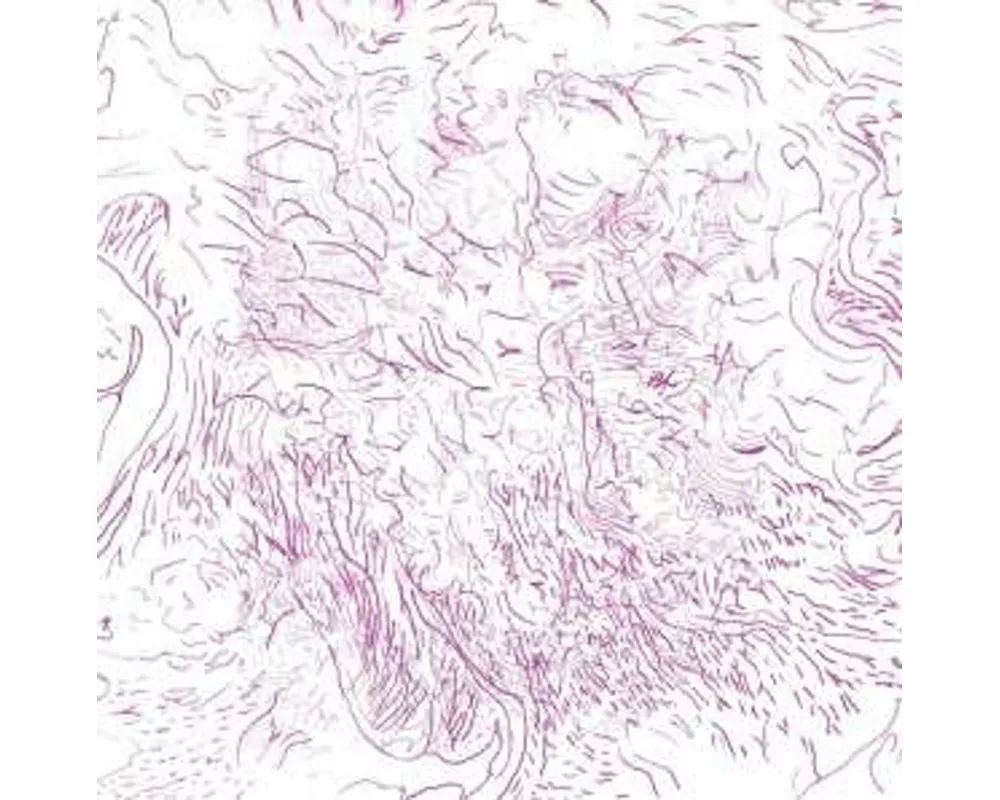 Voices of Bishara (Reissue)