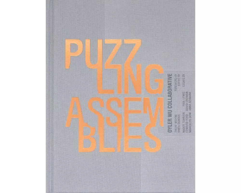 Puzzling Assemblies